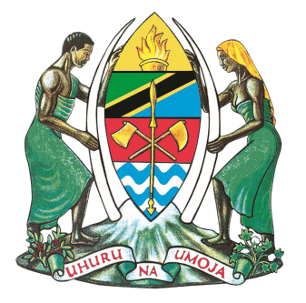 National PHC Rolling Digital Roadmap (Tanzania)